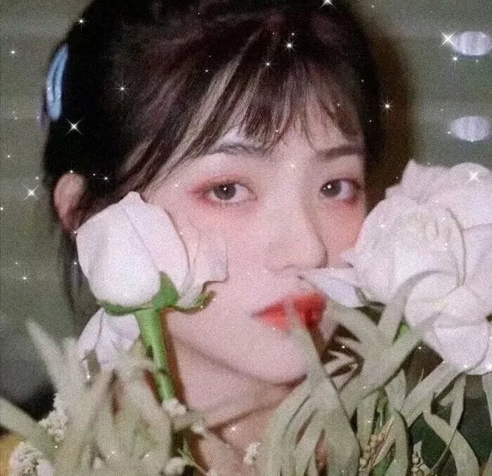 狐之歌